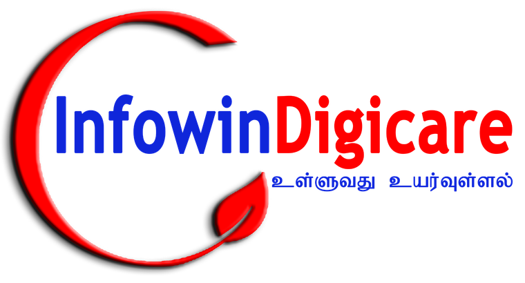Infowin Digicare Pvt Ltd logo